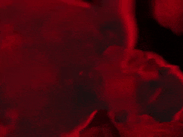 Escalator GIF by Ritt Momney