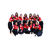 Great Job Sticker by DFD Academy