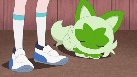 Pokemon Anime Sleeping GIF by Pokémon