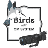 Photography Camera Sticker by OM SYSTEM