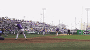 Walk Off Baseball GIF by LSU Tigers