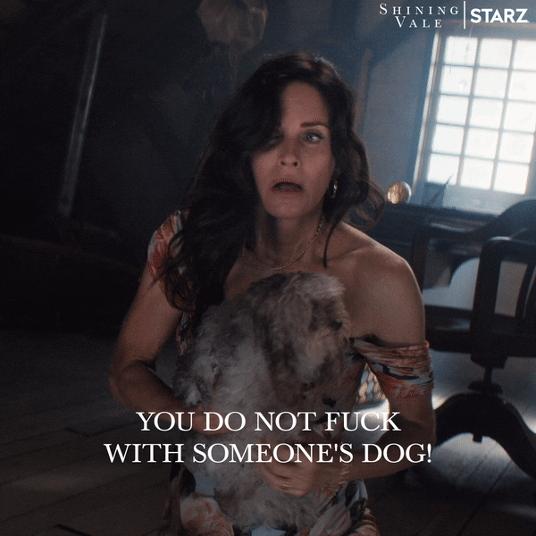 Courteney Cox Dog GIF by Shining Vale