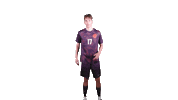 Four Sticker by Carson-Newman Athletics