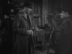 the big sleep tcm summer of darkness GIF by Warner Archive