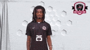 UIndyMensSoccer mens soccer uindy university of indianapolis uindy m soccer GIF
