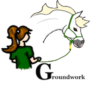 Horse Ground Sticker