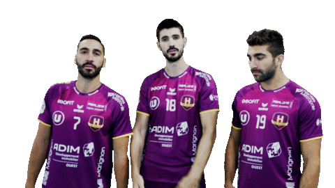 H Handball Sticker by HBCNantes