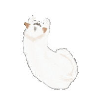 Sleepy Cat Sticker