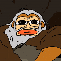 Crypto Fly You Fools GIF by Ponke