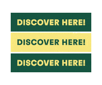 Discover Here Sticker by Henkel