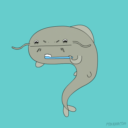 Animation Domination Lol GIF by gifnews