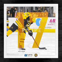 providencebruins providence bruins GIF