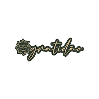 Bahia Gratidao Sticker by Cana Brava All Inclusive Resort
