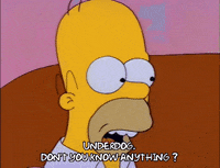 Season 2 GIF by The Simpsons