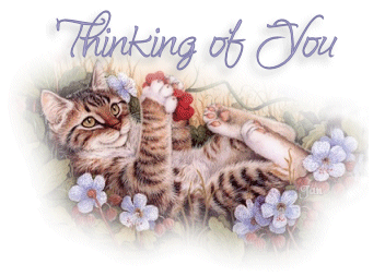 Thinking Of You GIF