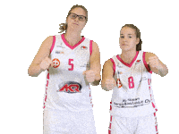 FoA_Naiset basketball friends driving naisten korisliiga Sticker