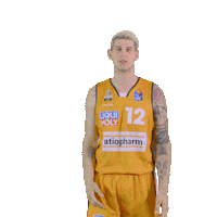 swipe up game on Sticker by easyCredit Basketball Bundesliga