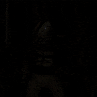 Miami Football Dancing GIF by Miami Dolphins