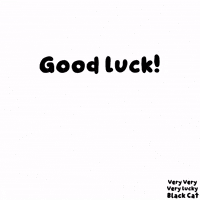 Black Cat Good Luck GIF by VeeFriends