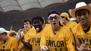 Baylor Bears Baylorfootball GIF by Baylor Athletics