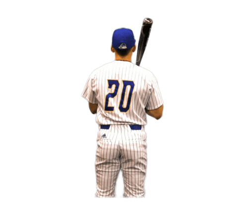 College Sports Fun Sticker by Delaware Blue Hens