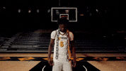 Ncaa Basketball GIF by Mizzou Athletics