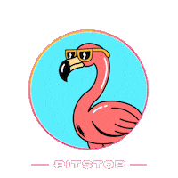 Flamingo Pitstop Sticker by Teknasyon