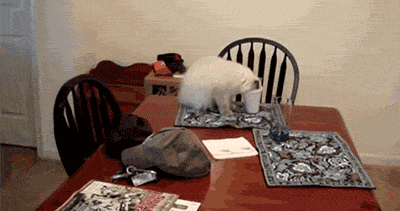 mood GIF