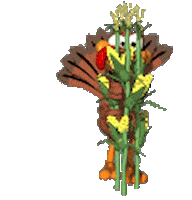 turkey STICKER