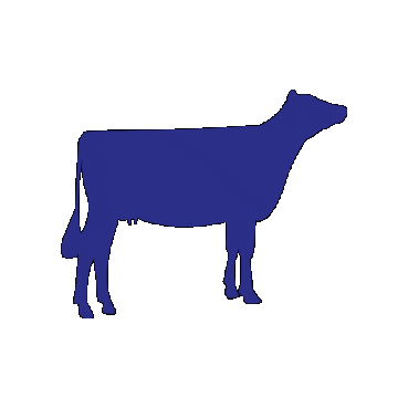 Vache Sticker by XR REPRO