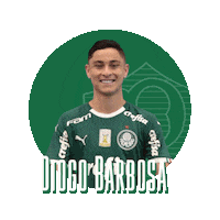 all right ok Sticker by SE Palmeiras