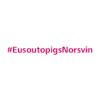TopigsNorsvin topigs duroc tn70 topigs norsvin Sticker