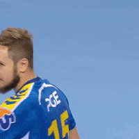 Handball Superliga GIF by Superliga