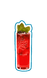 Party Celebrate Sticker by Belvedere Vodka