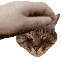 Dexter Opium Sticker by Meow Cats Café