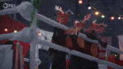 Season 15 Reindeer GIF by PBS