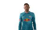 Peter Gulacsi Football Sticker by RB Leipzig