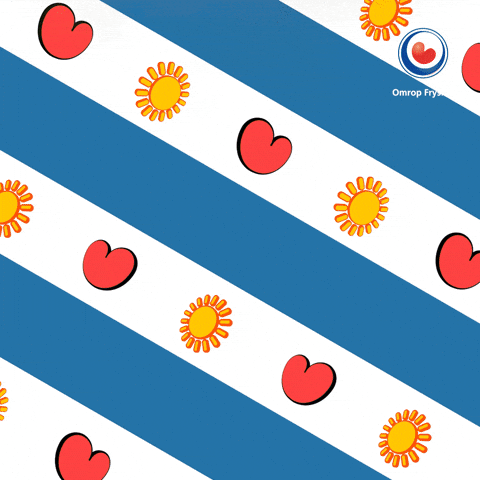 Idc Whatever GIF by Omrop Fryslân