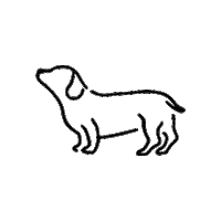 jurereopen jurereopen openjurere jurereopen gifs openjurere gifs Sticker