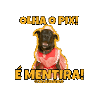Pet Arraia Sticker