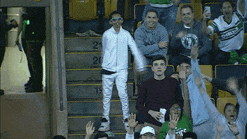 Nba Playoffs Basketball GIF by NBA