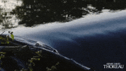 Simplify Henry David Thoreau GIF by PBS
