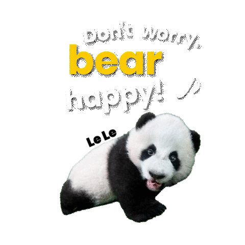 Bear Be Happy Sticker by Mandai Wildlife Reserve