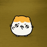 Dance Hamster GIF