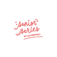 Story Series Sticker