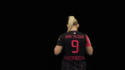 dhcplzen  GIF