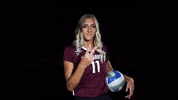 Littlerockvb GIF by Little Rock Athletics
