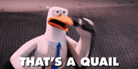 bird chicken GIF by STORKS