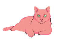 drawpeterdraw cat space vibes universe Sticker