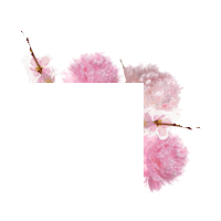 Beauty Hello Sticker by lookfantastic